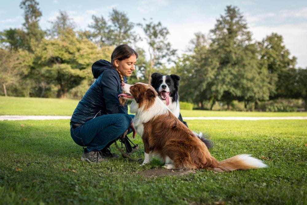 A pet parent with her 2 dogs.