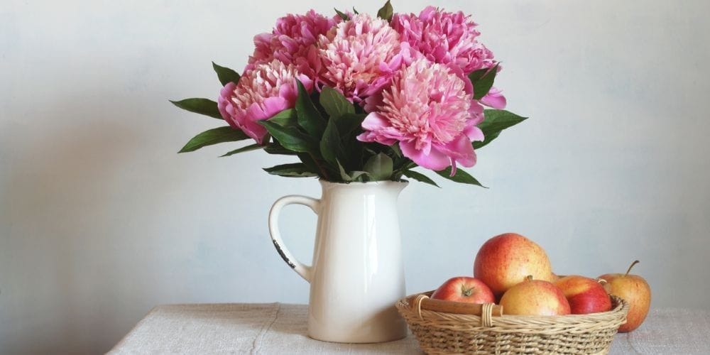Beautiful bouquet of pink peonies and apples on a table.