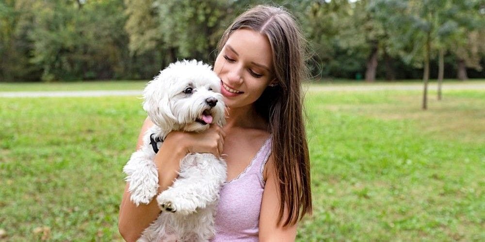 Woman holding her client's dog in the park.