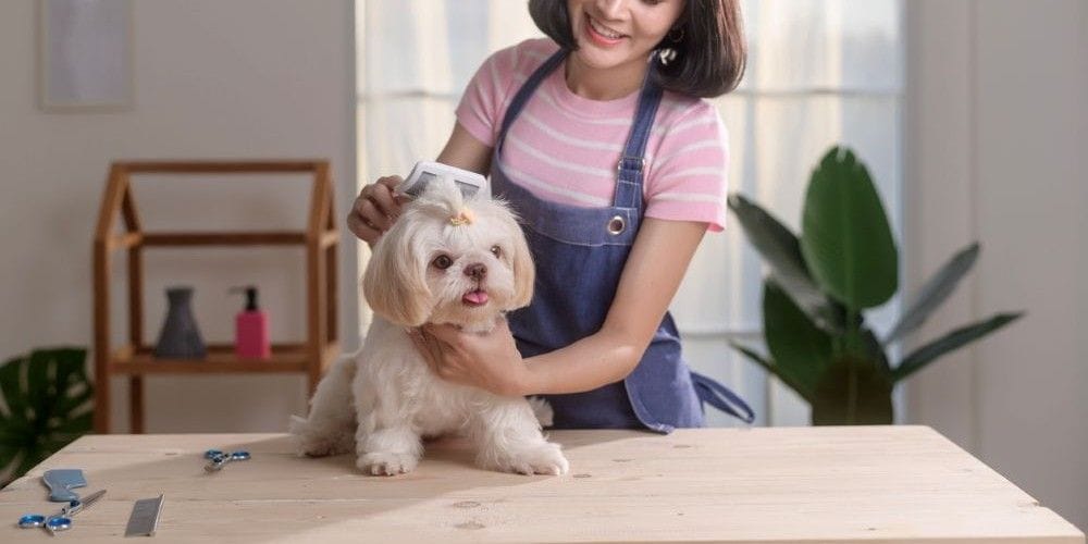 Woman brushing dog's fur.